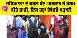 Haryana School Closed