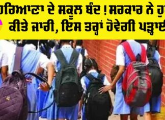 Haryana School Closed