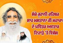 Happy Birthday MSG