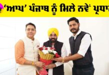 Punjab AAP New President