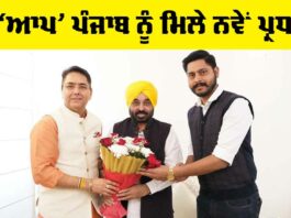 Punjab AAP New President