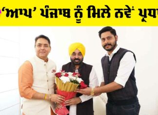 Punjab AAP New President