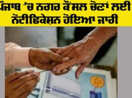 Punjab Elections News