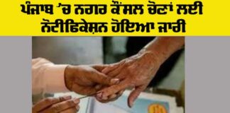 Punjab Elections News