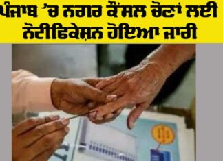 Punjab Elections News