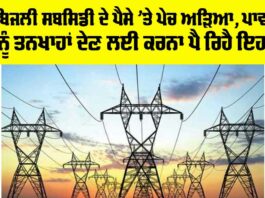 Punjab Electricity Subsidy