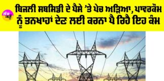 Punjab Electricity Subsidy