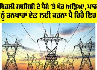 Punjab Electricity Subsidy