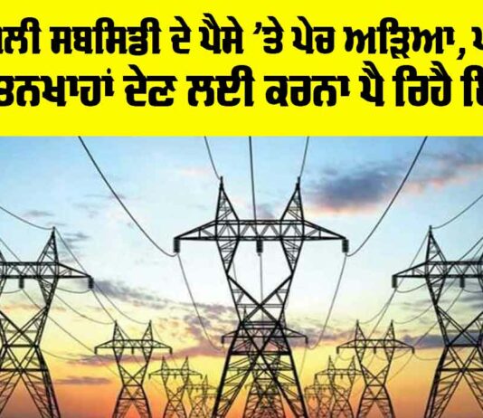 Punjab Electricity Subsidy