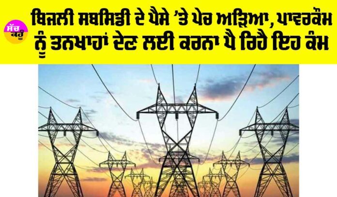 Punjab Electricity Subsidy