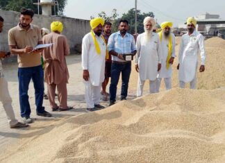 Punjab Farmers