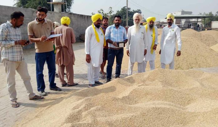 Punjab Farmers