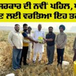 Punjab Kisan News