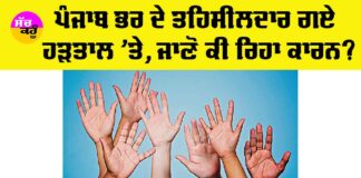 Punjab News