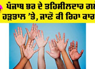 Punjab News