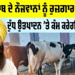 Punjab News Update