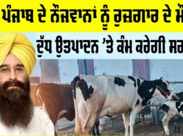 Punjab News Update