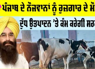 Punjab News Update