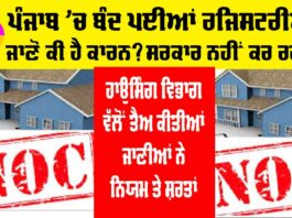 Punjab Noc News