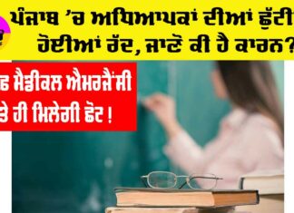 Punjab Teachers News