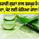 Aloe Vera Benefits