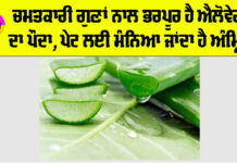 Aloe Vera Benefits