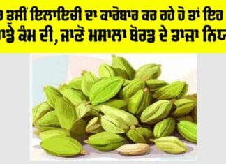 Cardamom