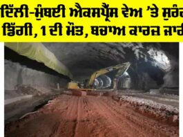 Delhi Mumbai Expressway Accident