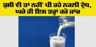 How to Check Fake Milk