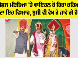 Haryana Marriage