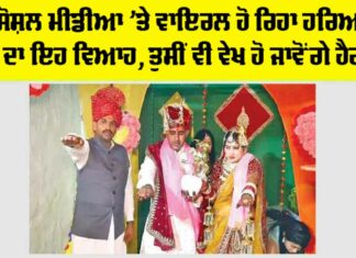 Haryana Marriage