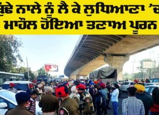 Punjab News