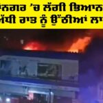 Punjab Fire News