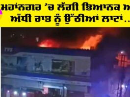 Punjab Fire News
