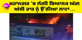 Punjab Fire News