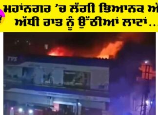 Punjab Fire News