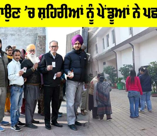 Ludhiana News