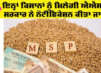 MSP on Crops