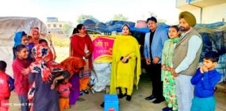 Pulse Polio Drops