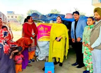 Pulse Polio Drops