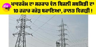 Punjab Electricity News