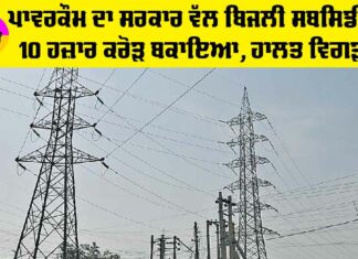 Punjab Electricity News