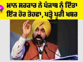Punjab Government News