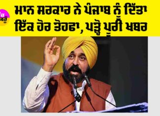 Punjab Government News