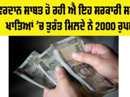 Punjab Government Scheme
