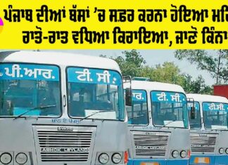 Punjab Roadways News