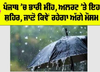 Punjab Weather Update