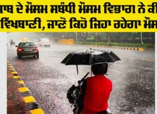 Punjab Weather