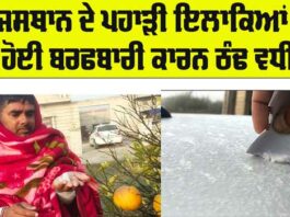 Punjab Weather News