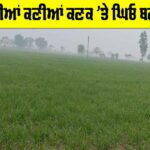 Weather Punjab